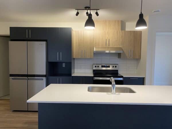 Cuisine contemporaine avec appareils électroménagers en acier inoxydable, espace fonctionnel et design épuré pour la gestion locative et l'investissement immobilier.