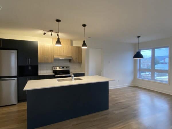 Appartement avec cuisine moderne, îlot central, grande fenêtre lumineuse, revêtement stratifié. Idéal pour location ou gestion immobilière, offrant confort et style contemporain.