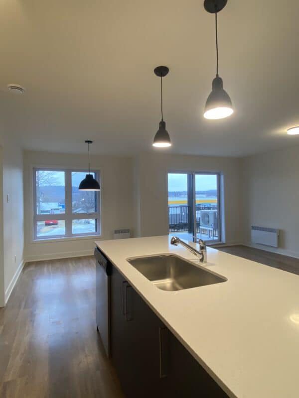 Appartements modernes avec cuisine équipée, grande luminosité et vue dégagée, idéal pour louer ou investir dans la gestion immobilière.