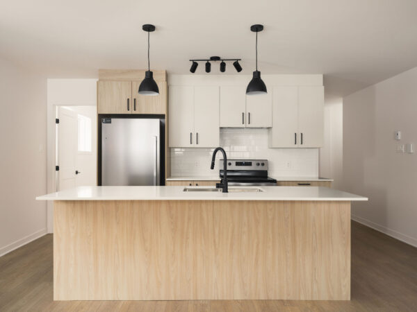 Appareil de cuisine moderne dans un appartement à Brownsburg-Chatham, offrant un espace de vie lumineux et fonctionnel.
