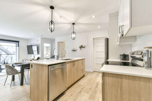 Appartement 1 chambre moderne à Saint-Charles-Borromée, avec cuisine ouverte, îlot central, et espace de vie lumineux. Parfait pour un logement confortable et pratique.