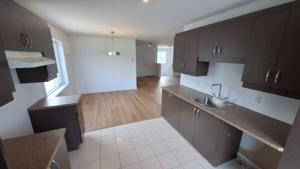 Cuisine moderne avec comptoirs en bois, armoires grises et évier double dans un appartement lumineux à Saint-Lin, parfait pour un logement confortable en juillet.