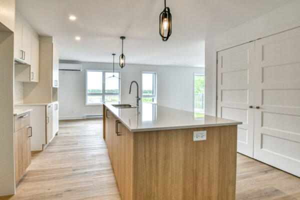 Appartement 1 chambre, cuisine lumineuse et spacieuse, idéale pour la gestion immobilière.