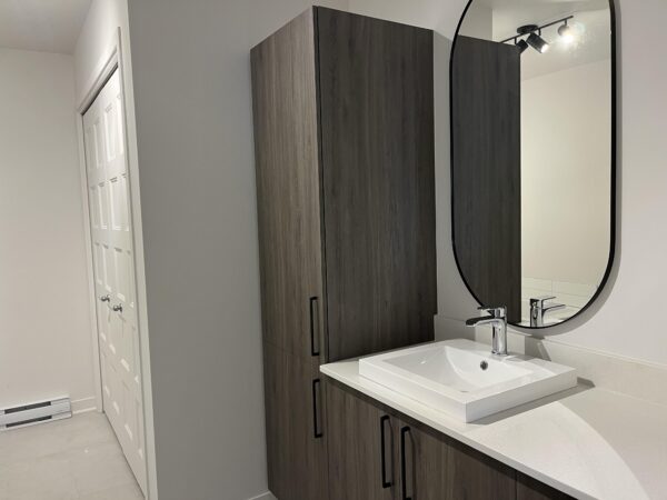 Appartement 2 chambres à Brownsburg-Chatham, parfait pour une famille ou un couple, avec salle de bain moderne, grand miroir et espace de rangement.