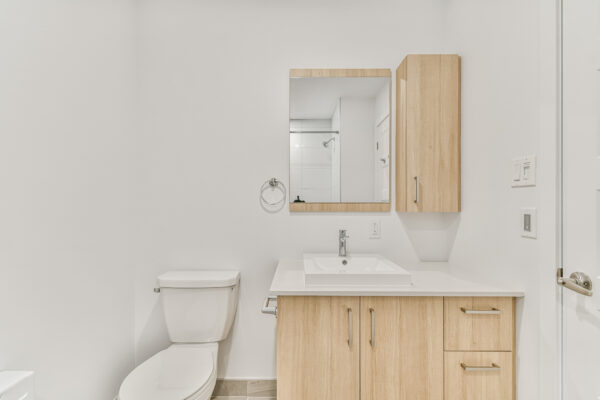 Conception moderne d'une salle de bain avec meuble en bois clair, lavabo et miroir, dans un appartement spacieux à Saint-Paul.