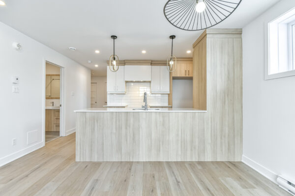 Cuisine moderne dans un appartement de 3 chambres à Saint-Paul, avec éclairage naturel, design épuré et matériaux de qualité, idéal pour une vie confortable.