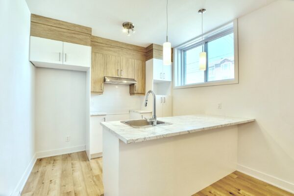 Appartement 1 chambre lumineux à Saint-Jacques, idéal pour démarrer une nouvelle vie ou investir. Cuisine moderne avec comptoir en marbre, espace confortable et pratique.