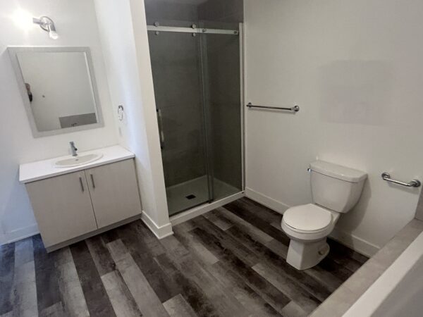 Appartement 3 chambres à Saint-Charles-Borromée avec salle de bain moderne, douche en verre et espace de vie lumineux, idéal pour famille ou colocataires.