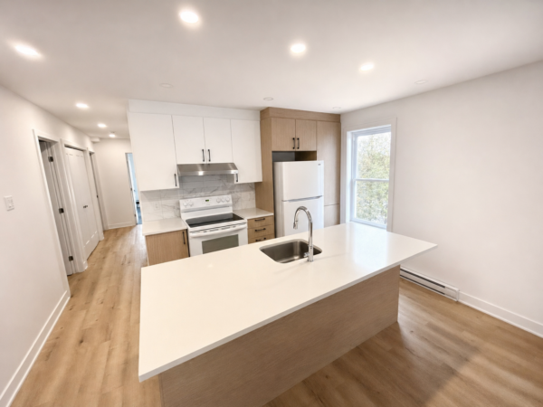 Cuisine moderne avec comptoir en quartz, électroménagers intégrés et grande fenêtre laissant entrer la lumière naturelle, idéale pour un logement de 2 chambres à Brownsburg-Chatham.
