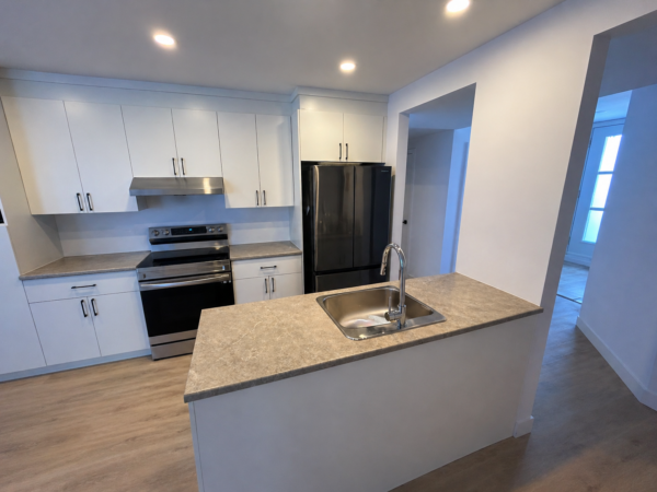 Cuisine moderne avec comptoir en granit, électroménagers noirs, et armoires blanches dans un appartement de Brownsburg-Chatham, idéal pour la gestion immobilière.
