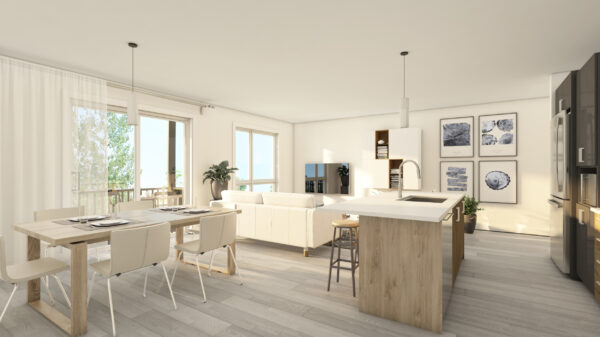 Vue lumineuse d'un appartement 1 chambre moderne situé rue Saint-Jacques à Sainte-Agathe-des-Monts, avec salon spacieux, cuisine ouverte et décoration contemporaine.