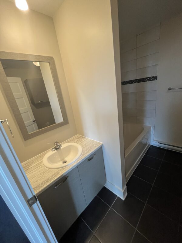 Vue d'une salle de bain avec lavabo, miroir et baignoire dans un appartement de Lachute, parfait pour un logement confortable et fonctionnel.